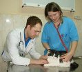увеличить Счастливчик в Королёве