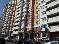 увеличить Стриж в Королёве